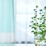 お好みのデザイン・素材でつくるオーダーメイドカーテン